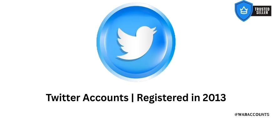 Twitter Accounts | Registered in 2013