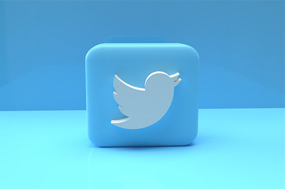Twitter Accounts with 2FA. English Female Names. Age: 7-8 Months Slide 1